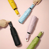 8-Ribs Travel Umbrella Cute Design Windproof & Multi-Color Semi-Automatic Open And Made of 190T Nylon Business Gifts Rain